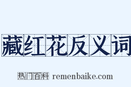 藏红花反义词是什么意思的图片